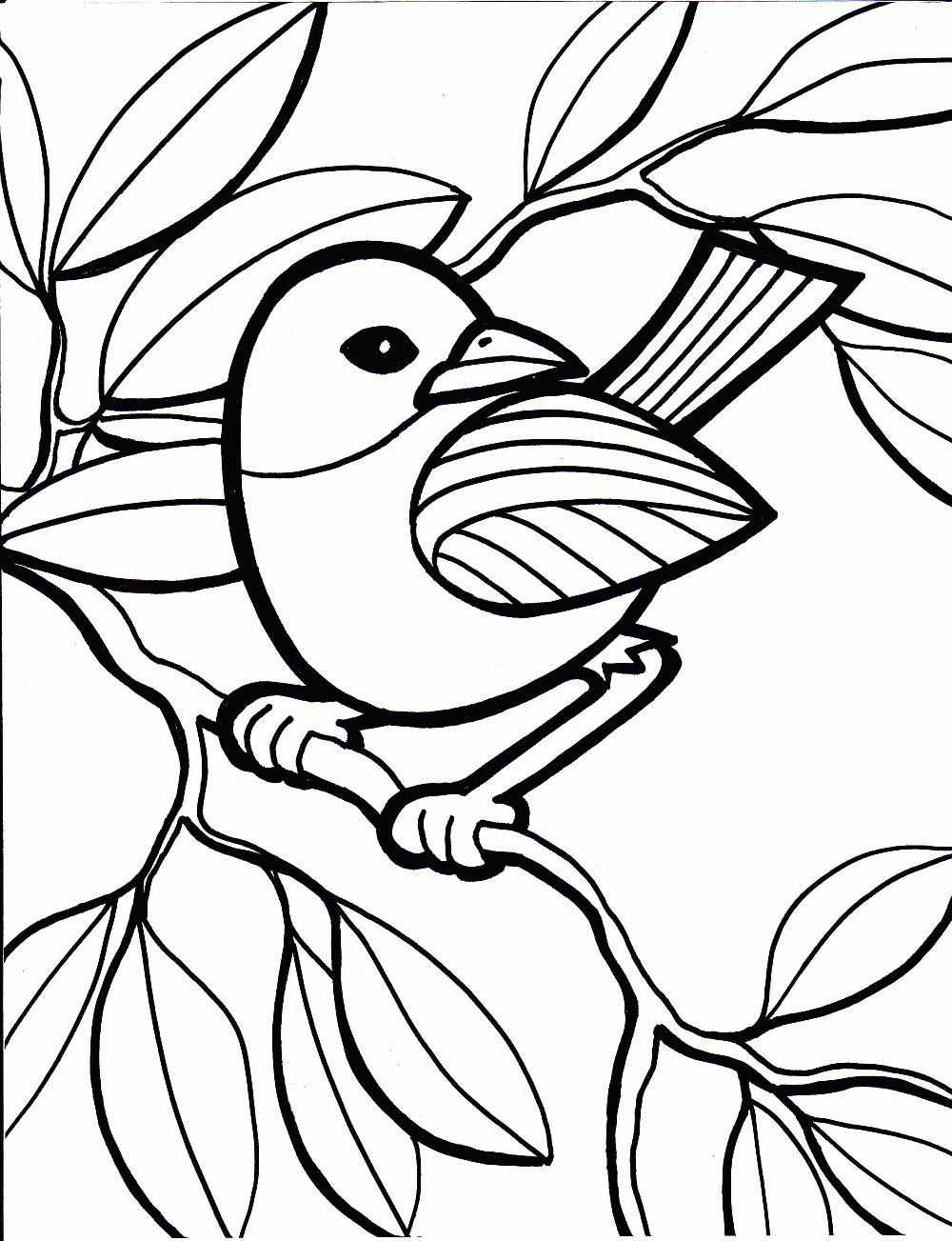 Bird Coloring Sheet
 Bird Coloring Pages