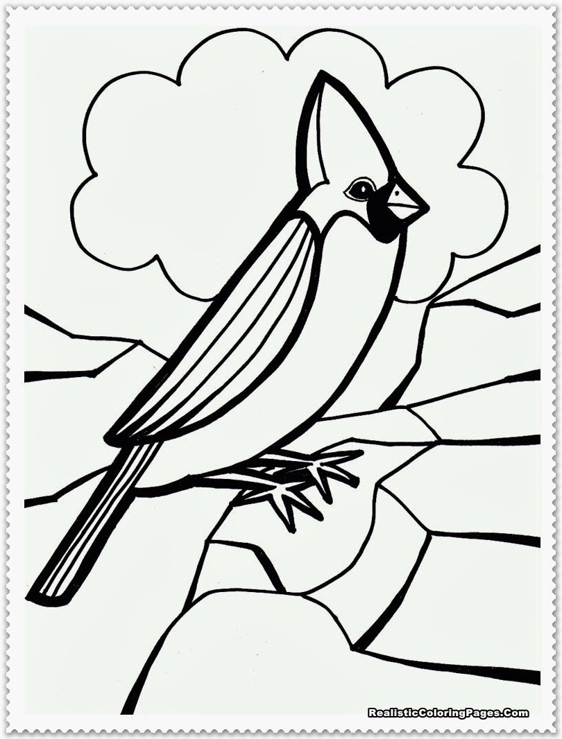 Bird Coloring Sheet
 Bird Coloring Pages Realistic