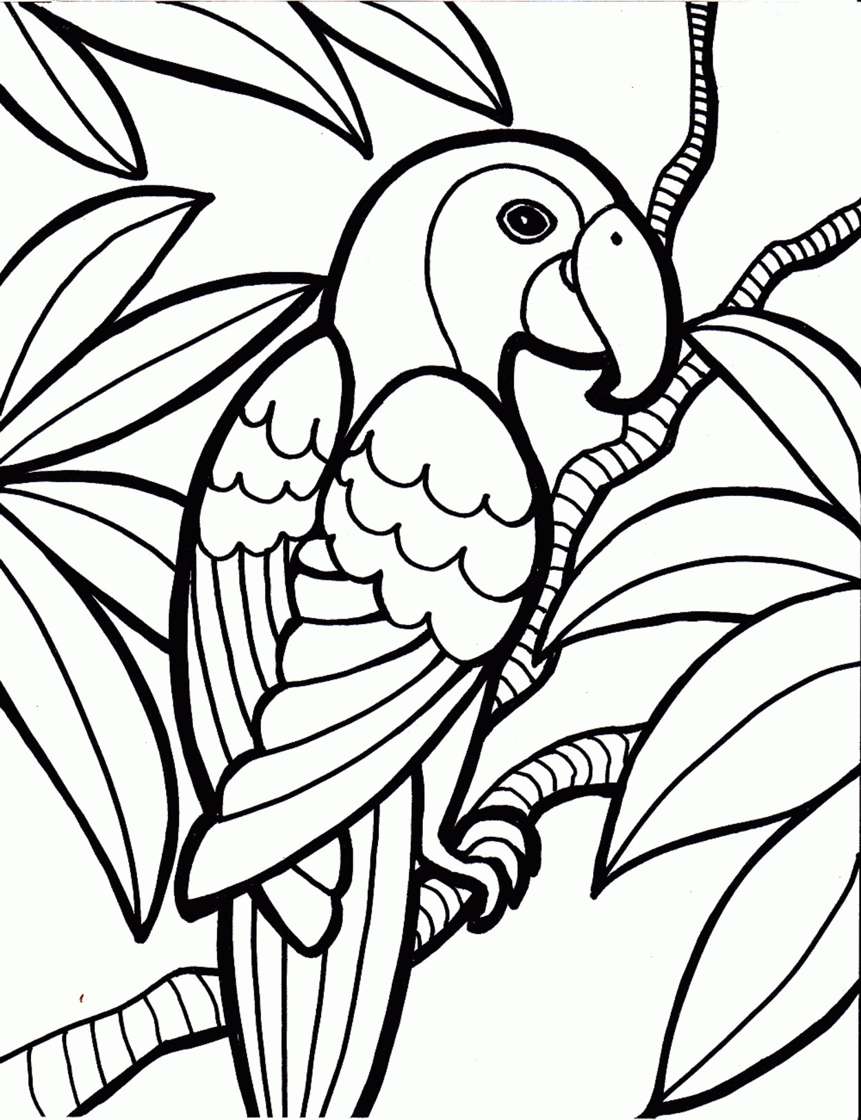Bird Coloring Sheet
 Bird Coloring Page With Free Bird Coloring Pages