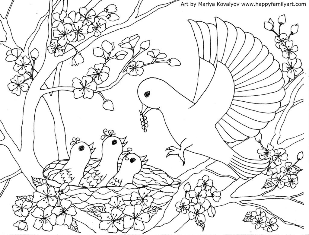 Bird Coloring Sheet
 Birds Coloring Page
