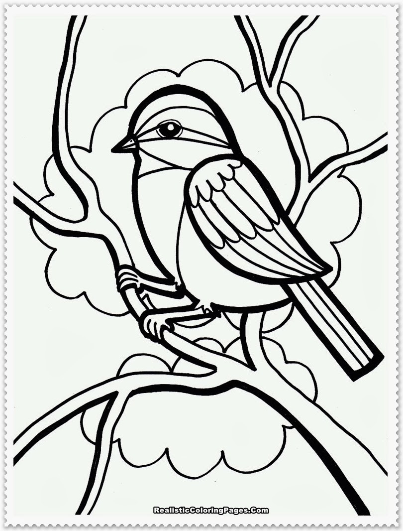 Bird Coloring Sheet
 Bird Coloring Pages Realistic