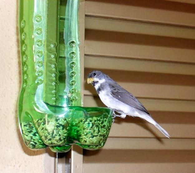 Bird Crafts For Adults
 How to Recycle Plastic Bottles for Bird Feeders Creative