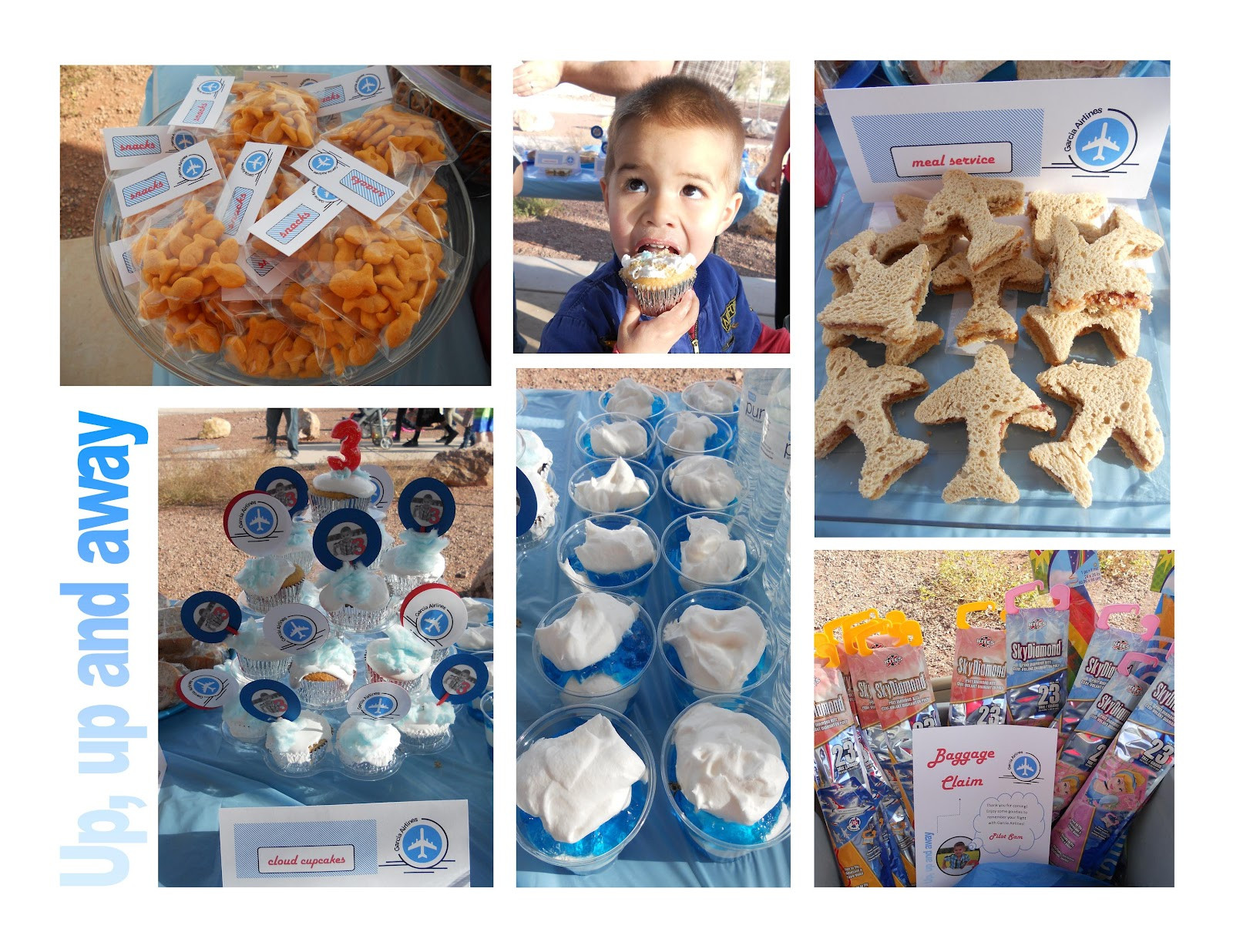 Birthday Party Ideas For 3 Year Old Boy
 Chaos in my Ark Up up and away 3 year old boy Airplane