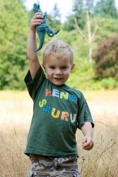 Birthday Party Ideas For 3 Year Old Boy
 A dinosaur themed birthday party for a 3 year old boy