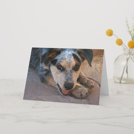 Birthday Wishes For Dog Lovers
 Happy Birthday Wishes for Dog Lovers Card