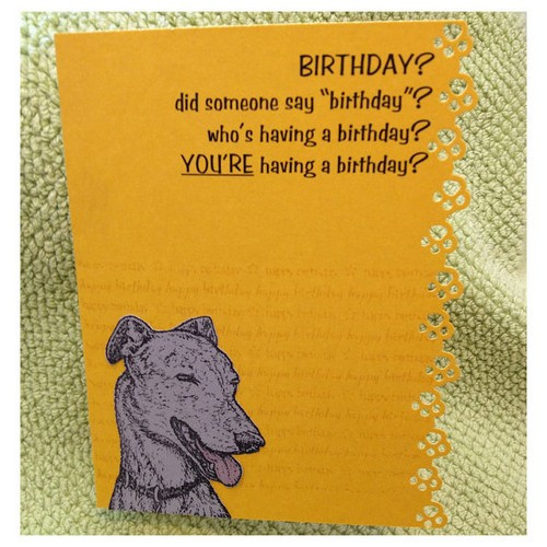 Birthday Wishes For Dog Lovers
 Birthday Wishes For A Dog Lover