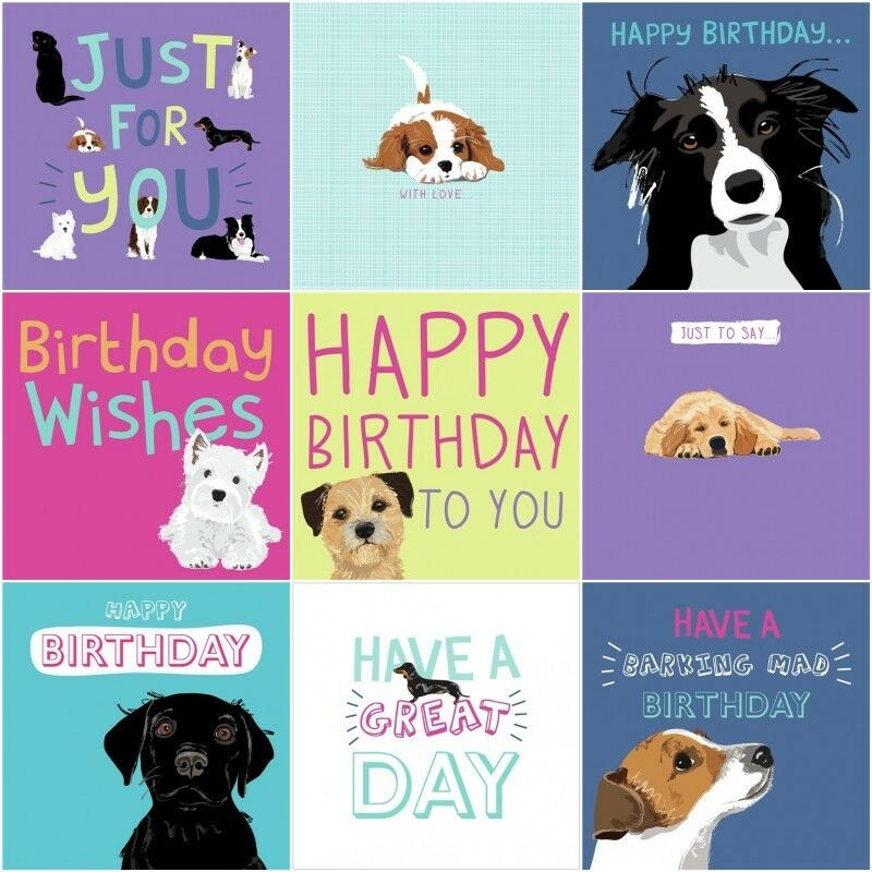 Birthday Wishes For Dog Lovers
 Dogs Trust Charity Greeting Birthday Card by Waggy Tails
