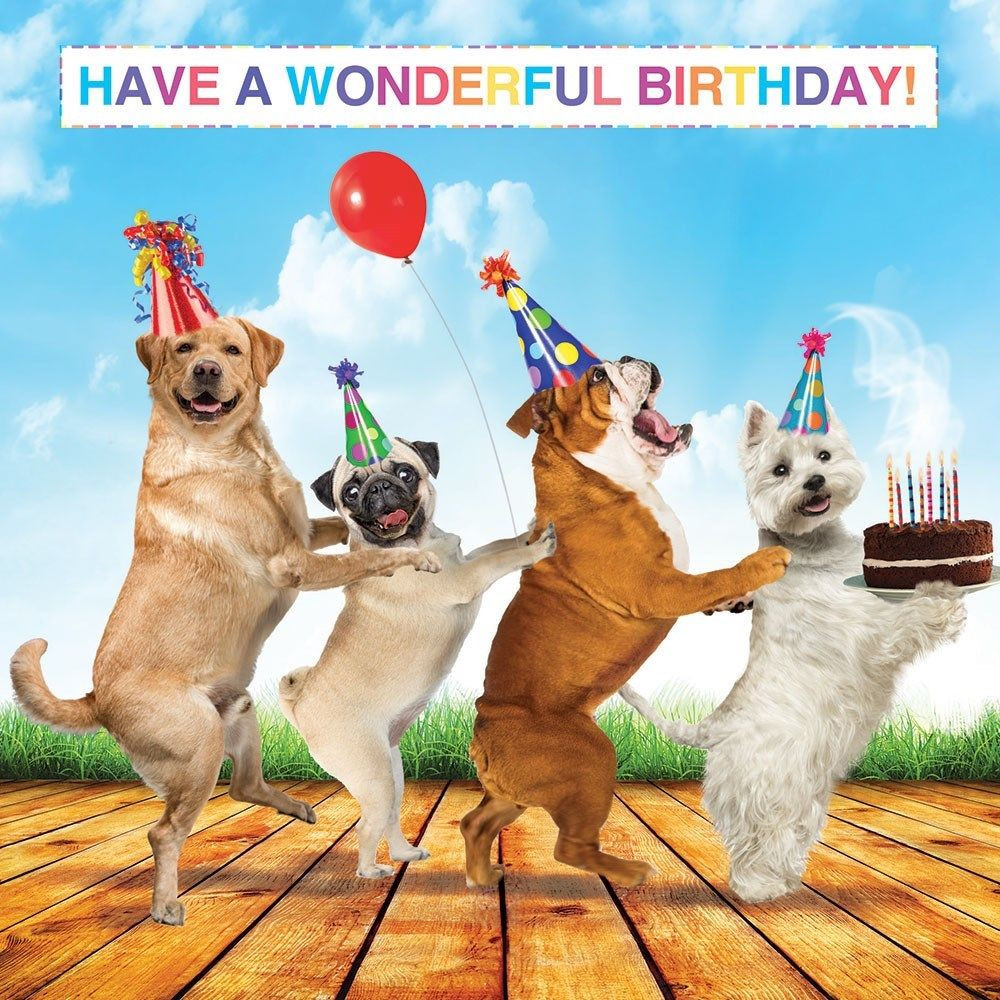 Birthday Wishes For Dog Lovers
 Dog Lovers Luxury Glitter Birthday Greeting Card Pug
