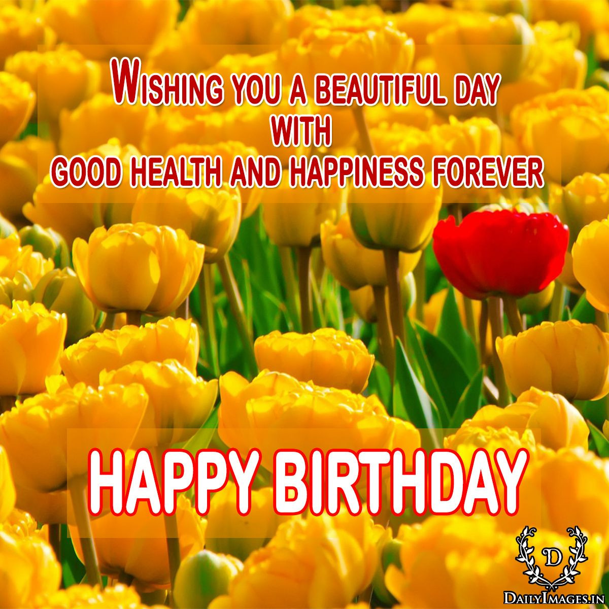 Birthday Wishes For Good Health
 Wishing you a beautiful day with good health and happiness