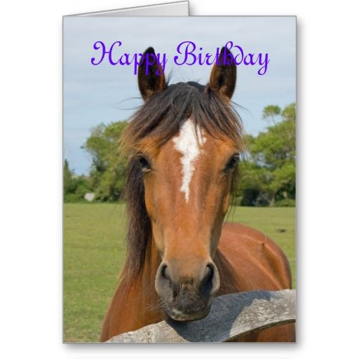 Birthday Wishes With Horses
 Beautiful horse head custo birthday card