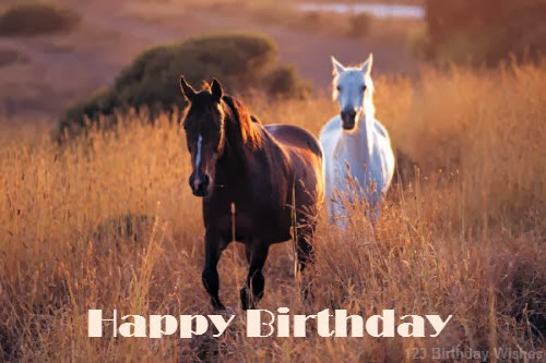 Birthday Wishes With Horses
 Best Birthday Wishes and Messages 123 Birthday Wishes