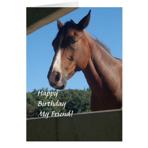 Birthday Wishes With Horses
 Birthday Wishes From The Horse Gifts T Shirts Art