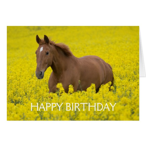 Birthday Wishes With Horses
 Brown Horse Happy Birthday Greeting Card
