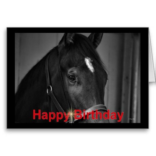 Birthday Wishes With Horses
 Happy Birthday Horse Birthday mare stallion foal Card
