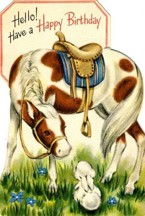 Birthday Wishes With Horses
 17 Best images about Vintage Cards Birthday on Pinterest