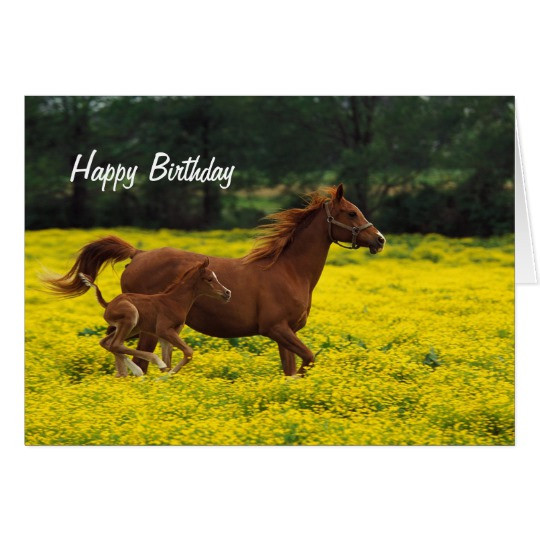 Birthday Wishes With Horses
 Horse and Pony Happy Birthday Greeting Card