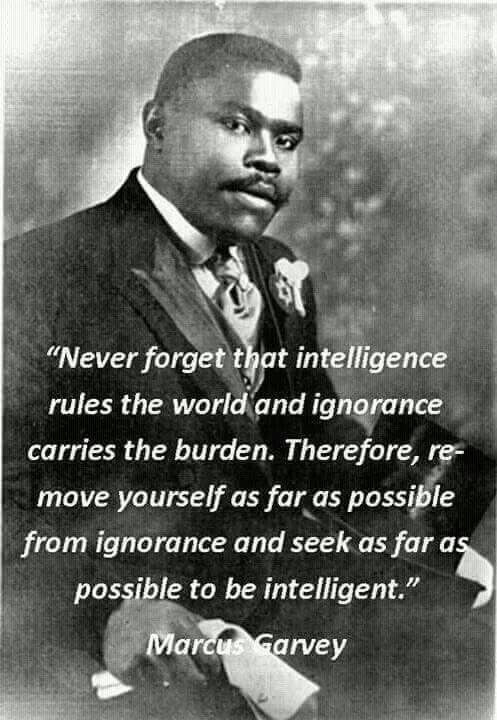 Black History Quotes On Education
 The Freedom of Intelligence Trounces The Burdens