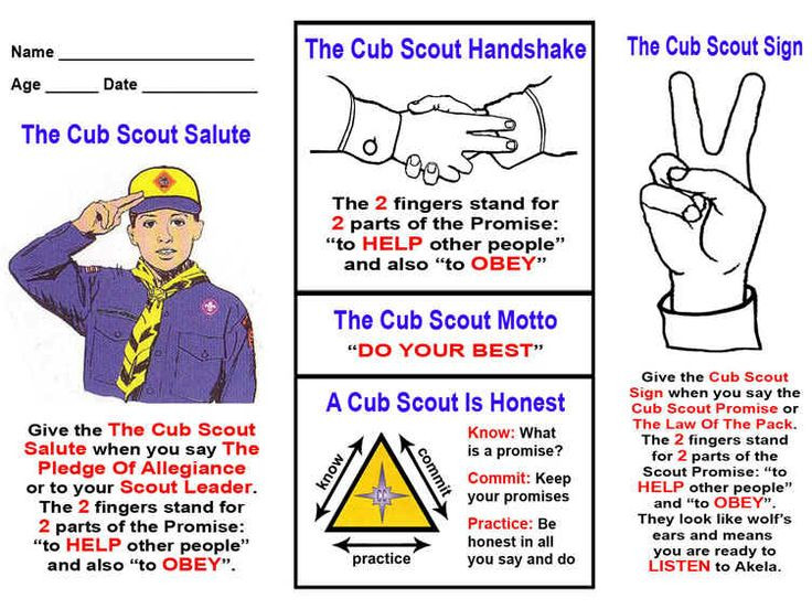 Blue And Gold Boyscout Coloring Sheet
 17 Best images about Boy Scouts on Pinterest