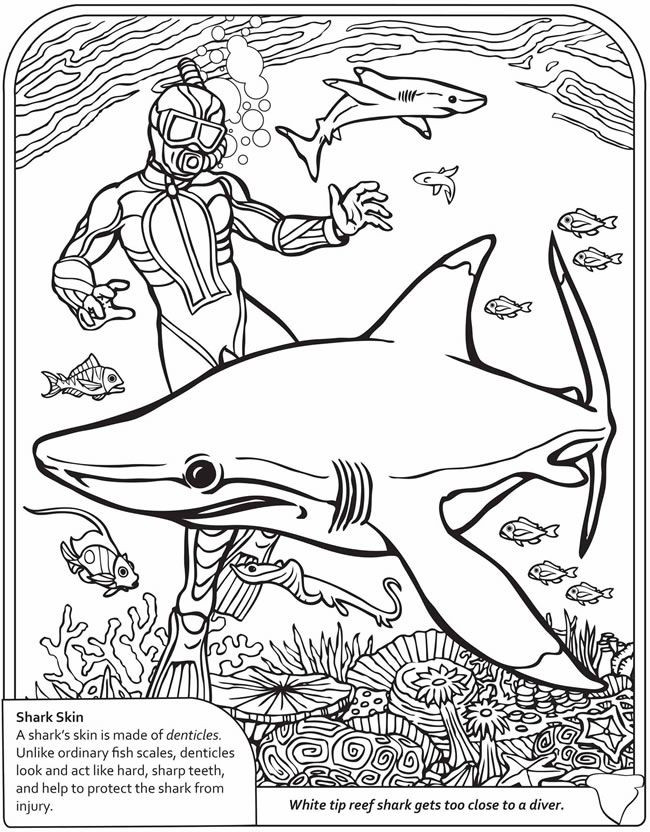 Boys Adult Coloring Book Pages
 128 best coloring pages boys images on Pinterest