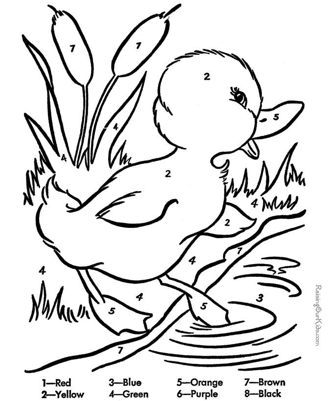 Boys Color By Number Coloring Pages
 1000 ideas about Coloring Pages For Boys on Pinterest