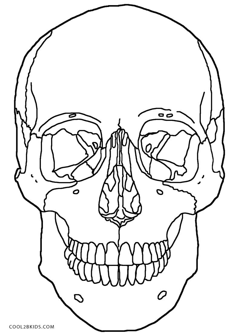 Boys Skull Coloring Pages
 Printable Skulls Coloring Pages For Kids