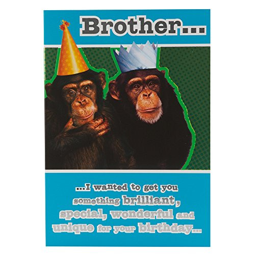 Brother Birthday Funny
 Funny Brother Birthday Card Amazon