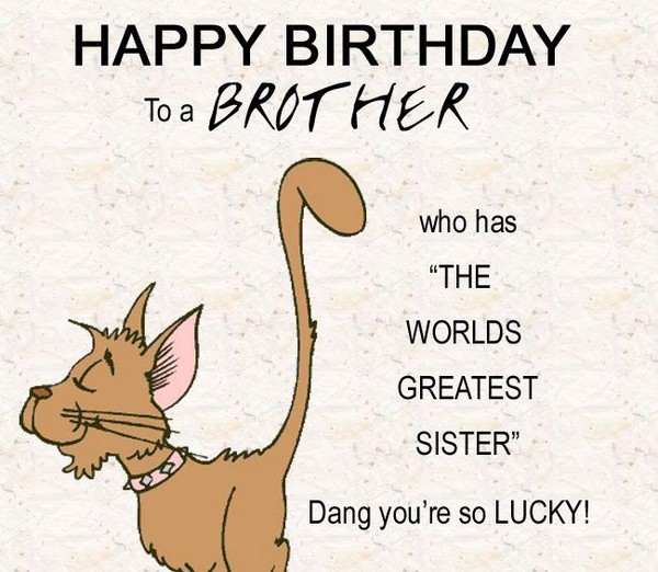 Brother Birthday Funny
 200 Best Birthday Wishes For Brother 2019 My Happy