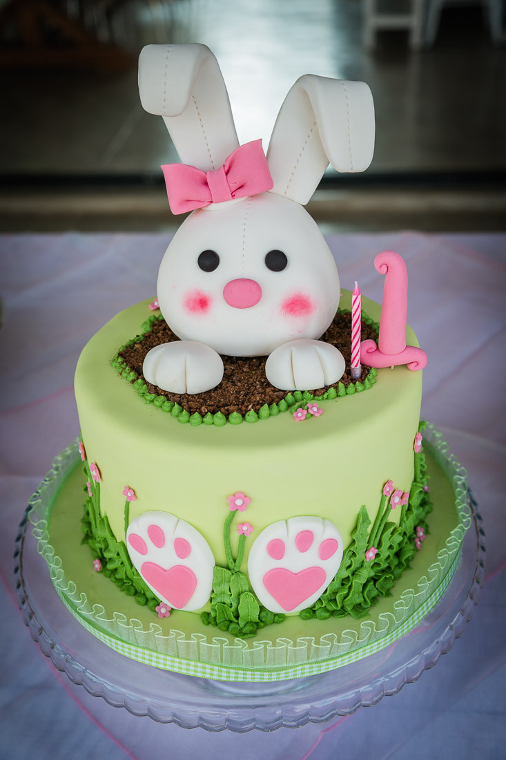 Bunny Birthday Cake
 1st Birthday with Bunny Cake and Decorations