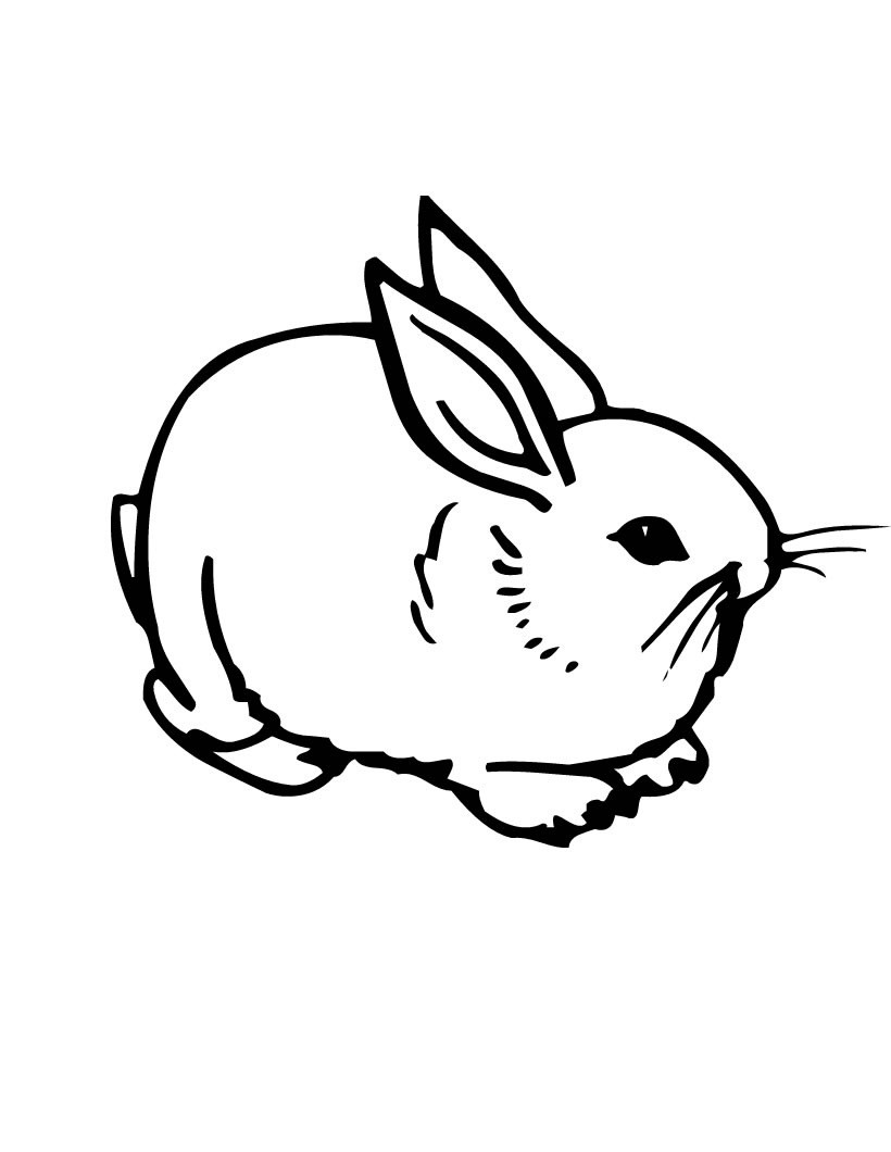 Bunny Coloring Pages
 Free Printable Rabbit Coloring Pages For Kids