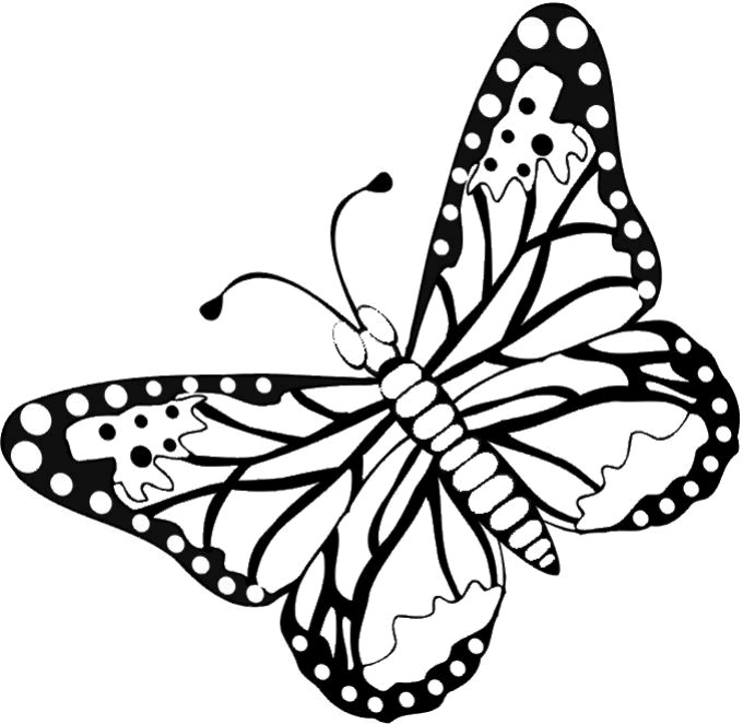 Butterflies Coloring Pages
 FREE Butterfly Coloring Pages Flying Butterfly