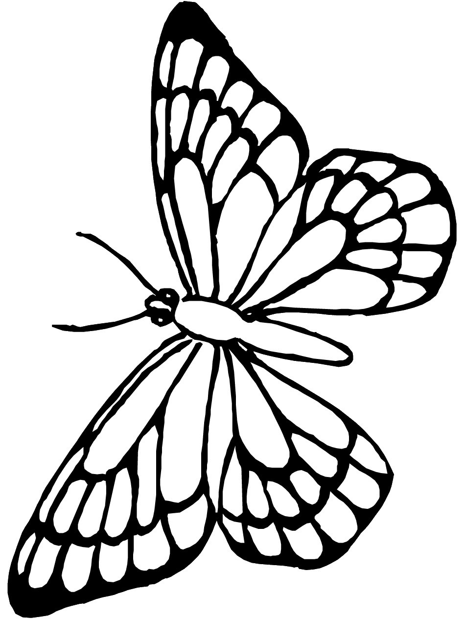 Butterflies Coloring Pages
 Free Printable Butterfly Coloring Pages For Kids
