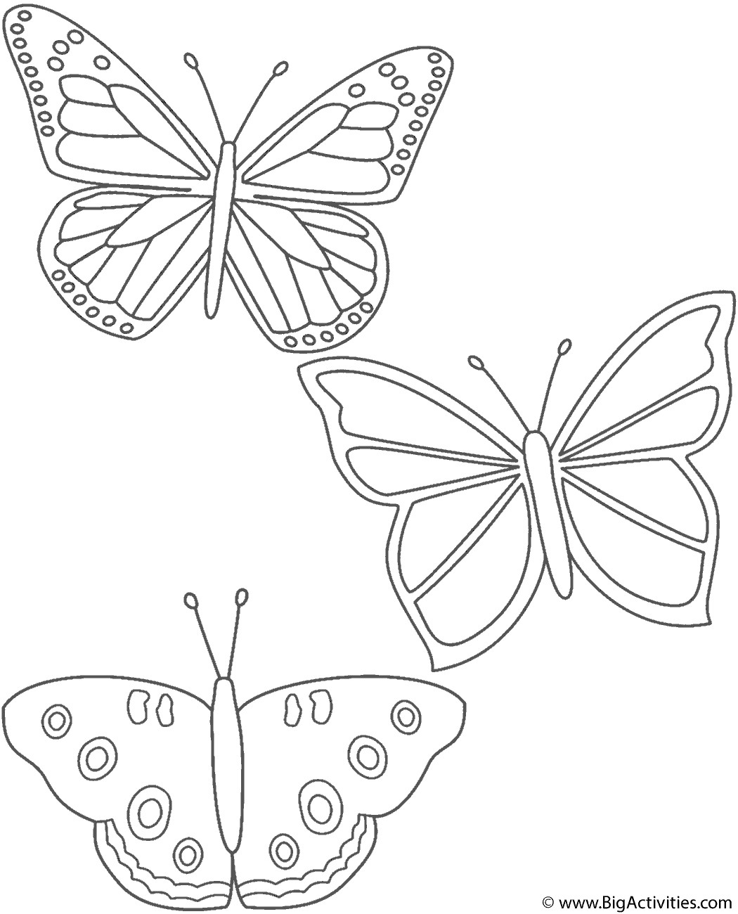 Butterflies Coloring Pages
 Three Butterflies Coloring Page Insects