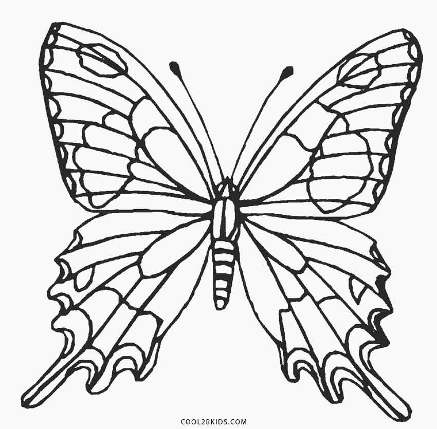 Butterflies Coloring Pages
 Printable Butterfly Coloring Pages For Kids