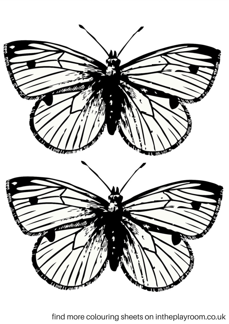 Butterflies Coloring Pages
 Free Printable Butterfly Colouring Pages In The Playroom