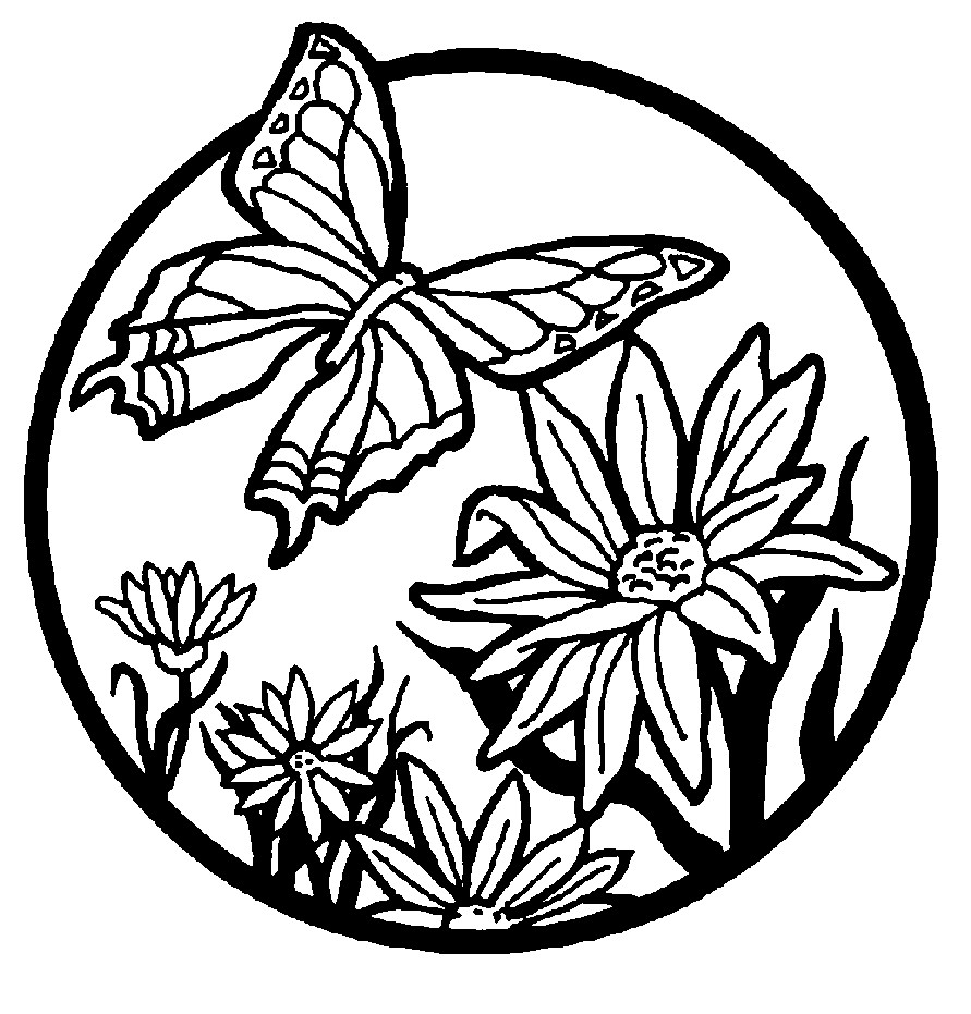 Butterflies Coloring Pages
 Free Printable Butterfly Coloring Pages For Kids