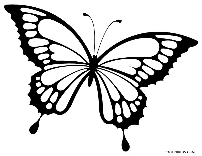 Butterflies Coloring Pages
 Printable Butterfly Coloring Pages For Kids