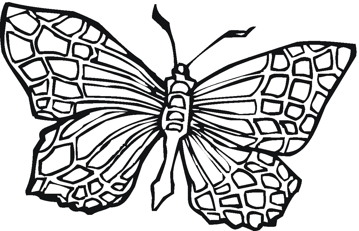 Butterflies Coloring Pages
 Free Printable Butterfly Coloring Pages For Kids