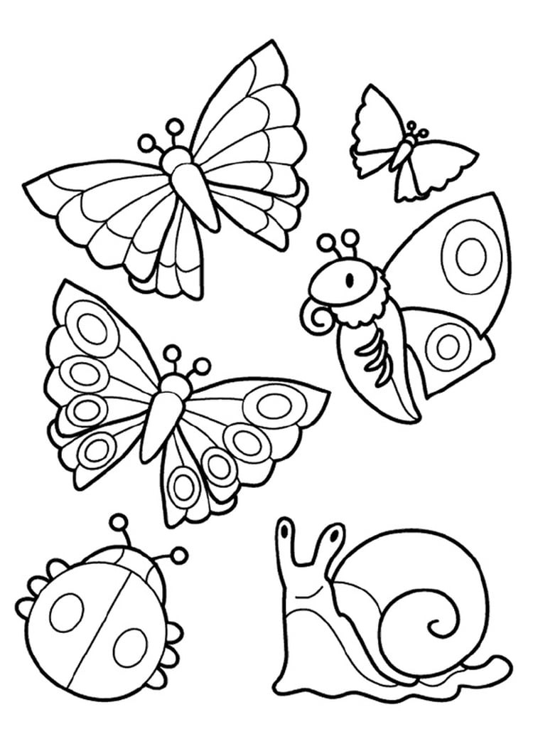 Butterfly Coloring Pages For Boys
 Les insectes font le printemps 12 coloriages pour