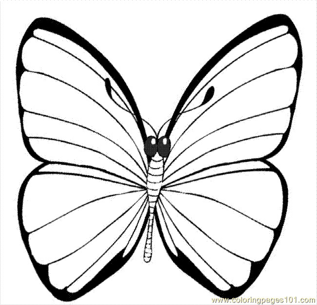 Butterfly Coloring Pages For Boys
 Ying Butterfly Coloring Pages Coloring Page Free