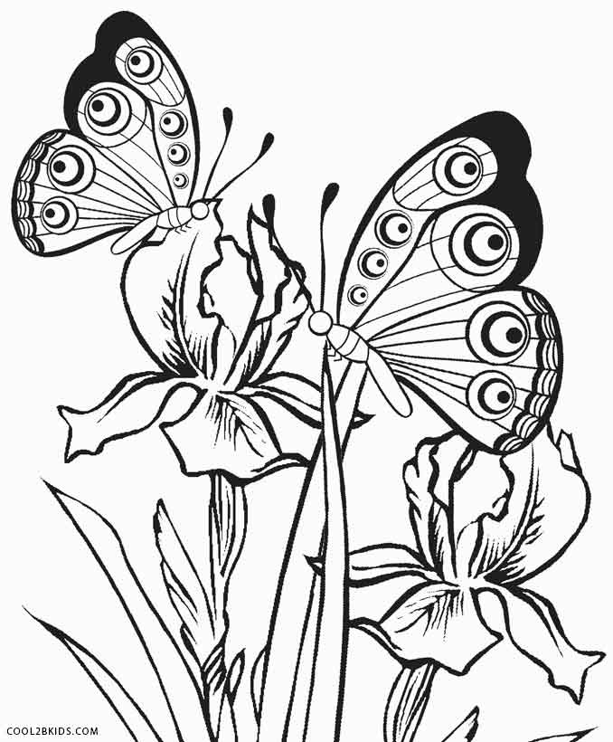Butterfly Coloring Pages For Boys
 Printable Butterfly Coloring Pages For Kids