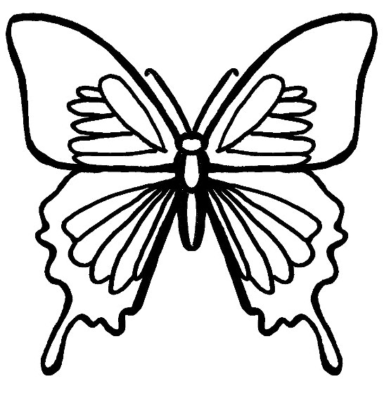 Butterfly Coloring Pages For Boys
 Butterfly Coloring Page Dr Odd