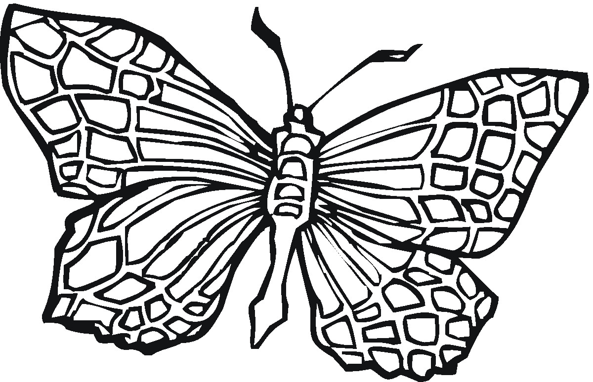 Butterfly Coloring Pages For Boys
 Free Printable Butterfly Coloring Pages For Kids