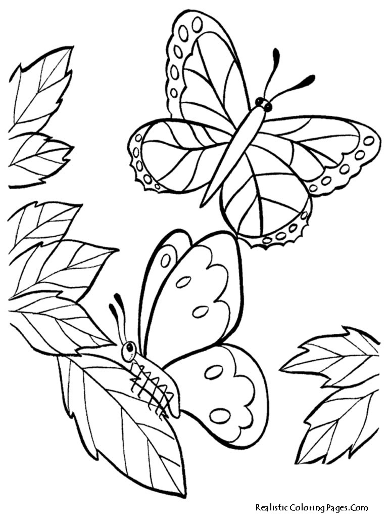 Butterfly Coloring Pages For Boys
 Realistic Butterfly Coloring Pages