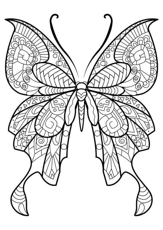 Butterfly Coloring Pages For Girls
 40 Free Printable Butterfly Coloring Pages
