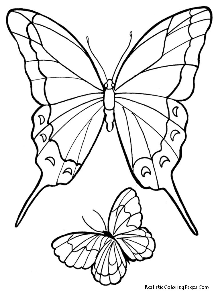 Butterfly Coloring Pages For Girls
 Realistic Butterfly Coloring Pages