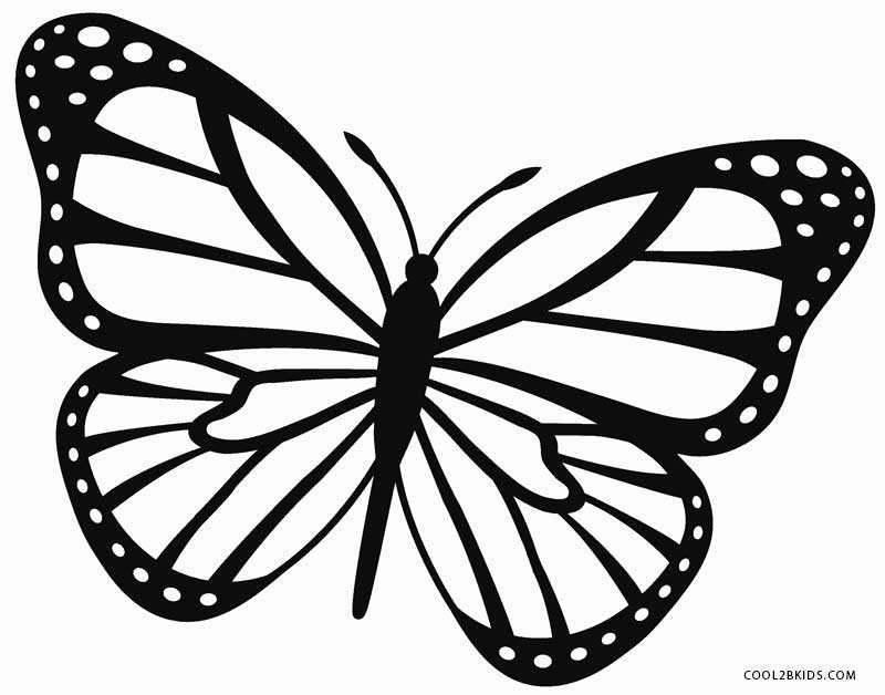 Butterfly Coloring Pages For Girls
 Printable Butterfly Coloring Pages For Kids