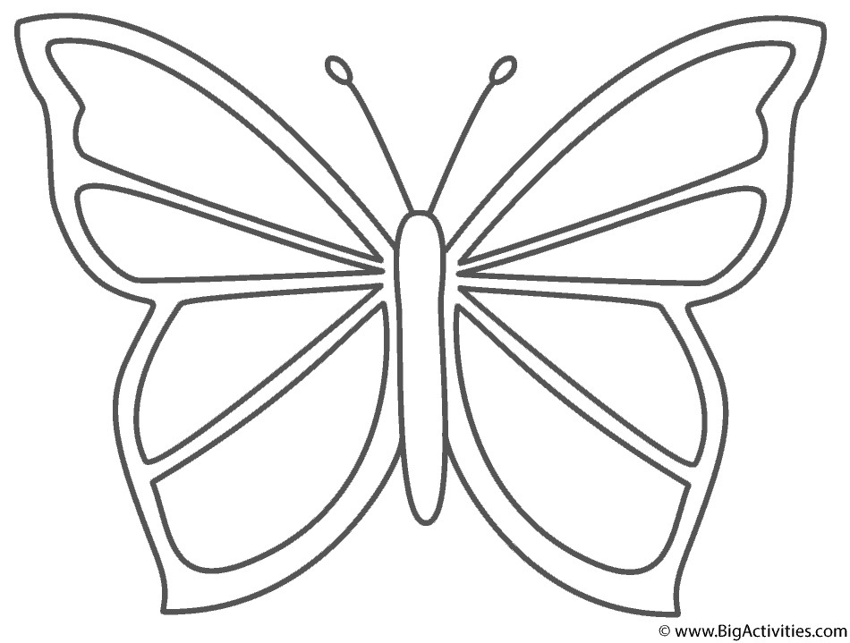 Butterfly Coloring Pages For Girls
 Beautiful Butterfly Coloring Page Insects