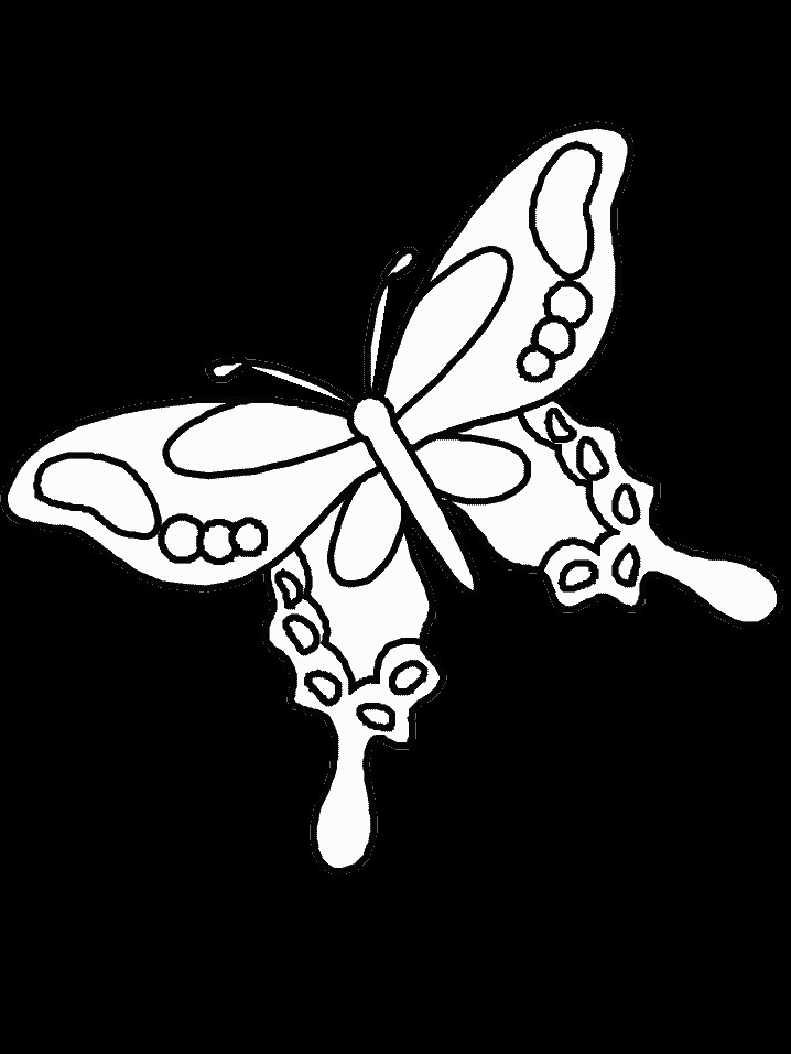 Butterfly Coloring Pages For Girls
 Cute and Beauty Butterfly Coloring Sheet