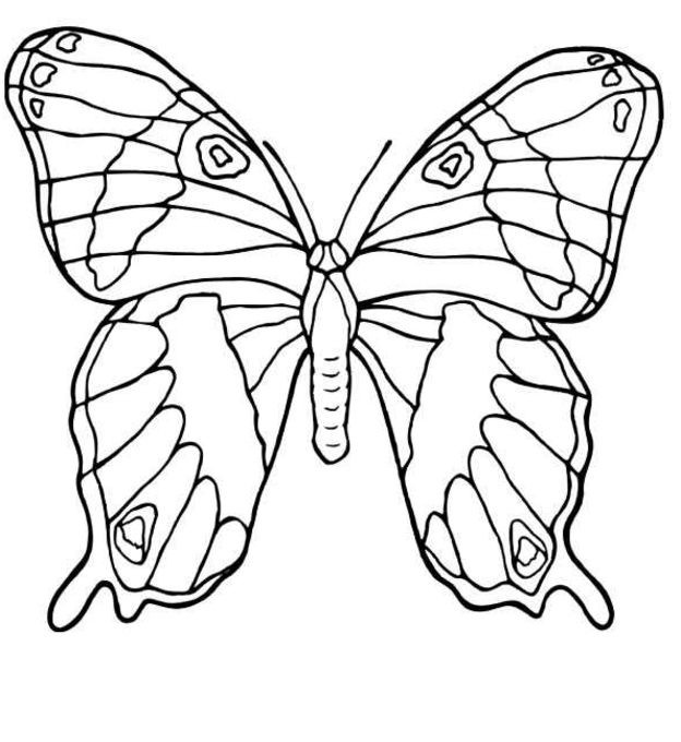 Butterfly Coloring Pages For Girls
 Butterfly coloring pages