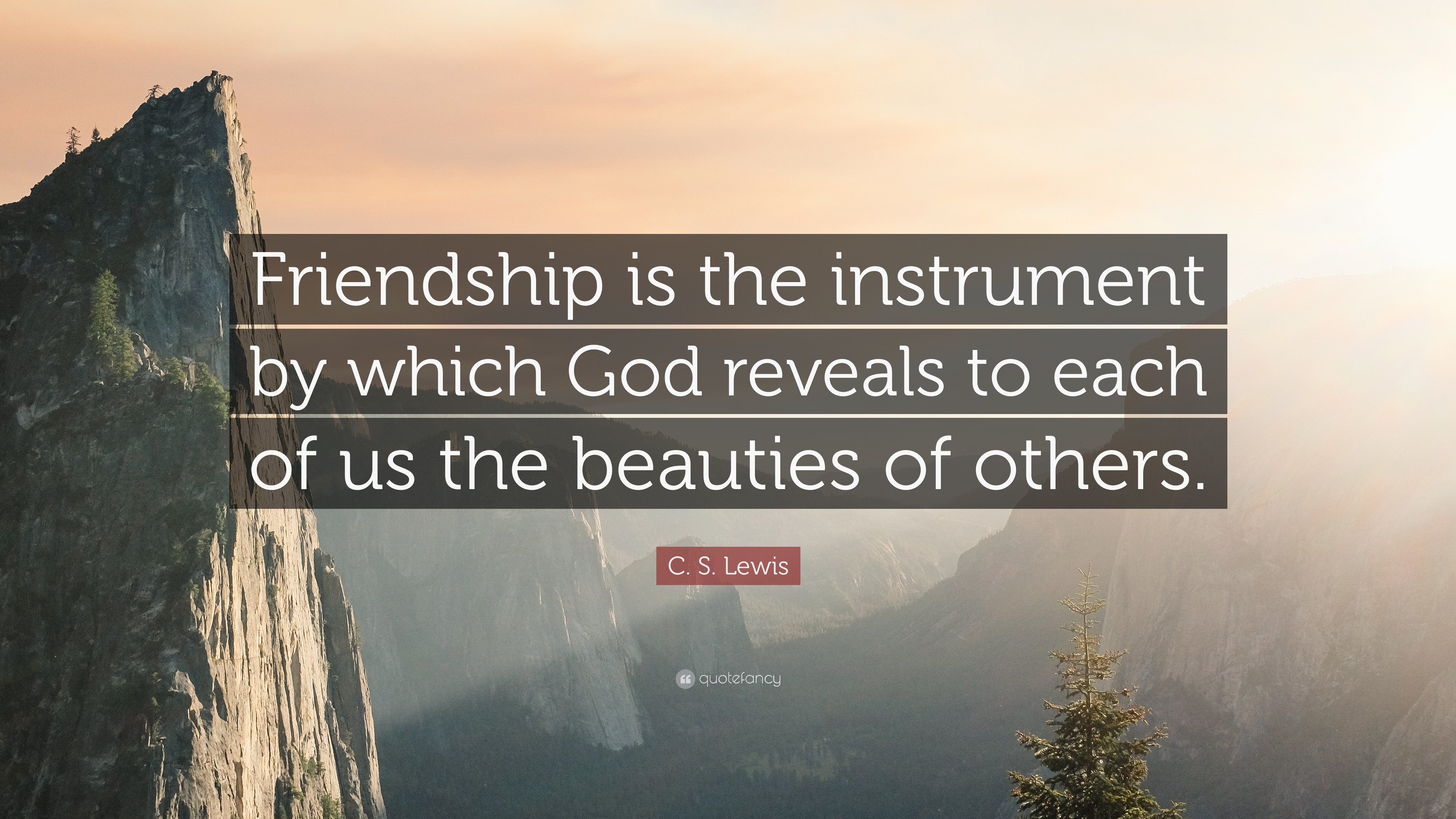 C.S.Lewis Friendship Quotes
 C S Lewis Quote “Friendship is the instrument by which
